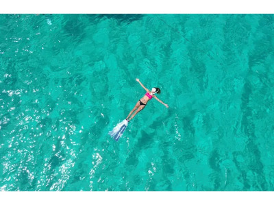 【沖縄・名護】シュノーケリング体験！西海岸の綺麗なサンゴ礁を探検しょう！！