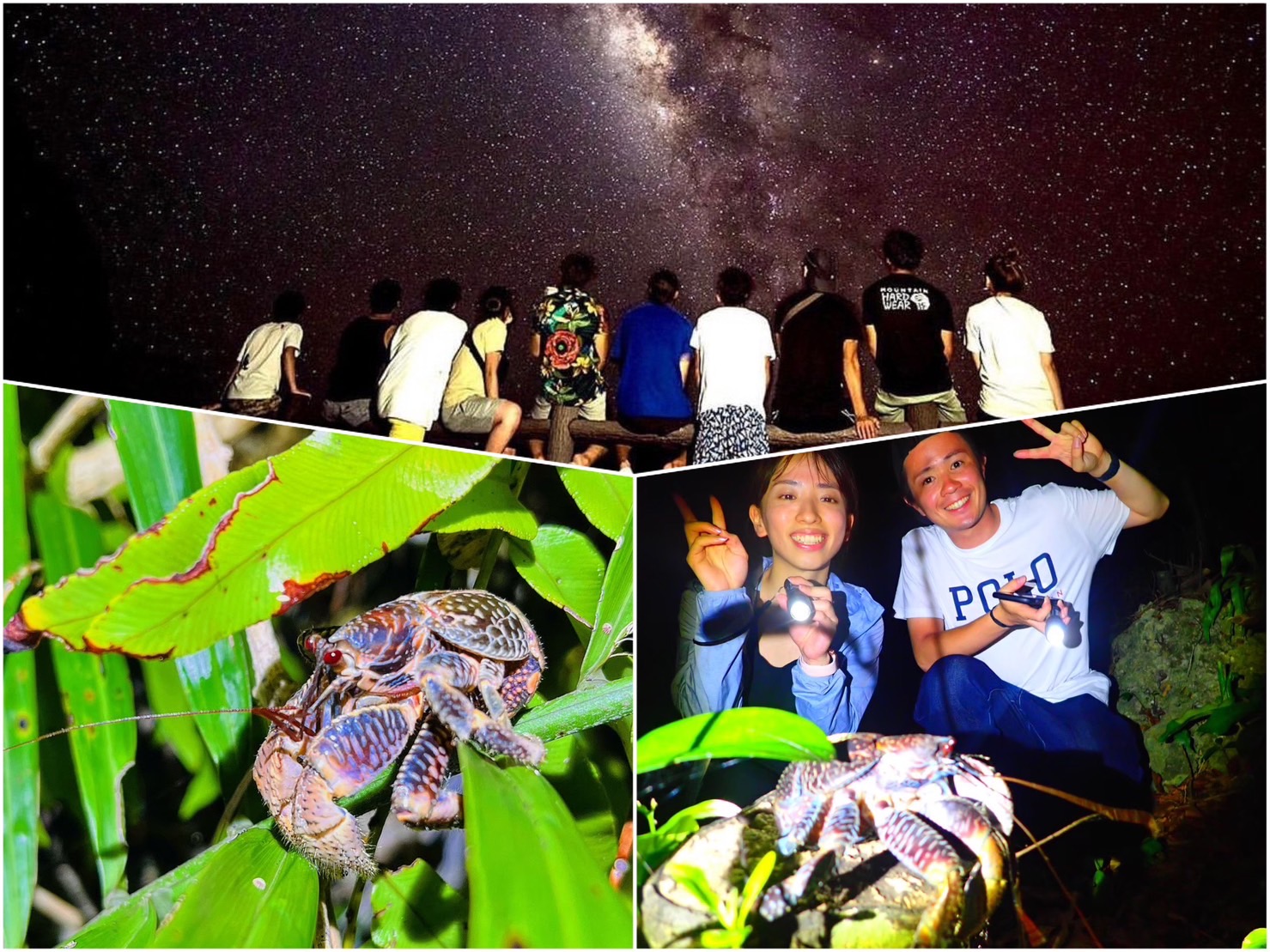 【宮古島/夜】天然プラネタリウム×南国のレア生物！宮古島の夜を楽しむ星空＆亜熱帯ジャングルナイトツアー【当日予約OK】