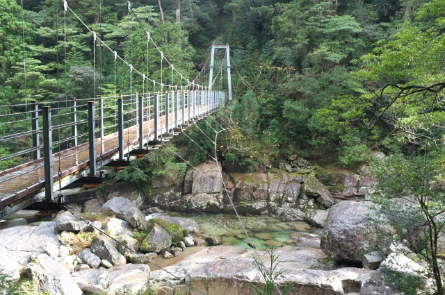 縄文杉トレッキングツアー