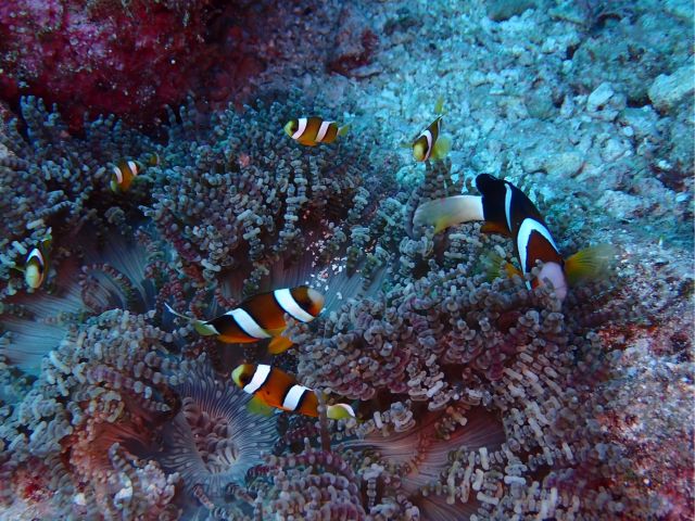 photo3