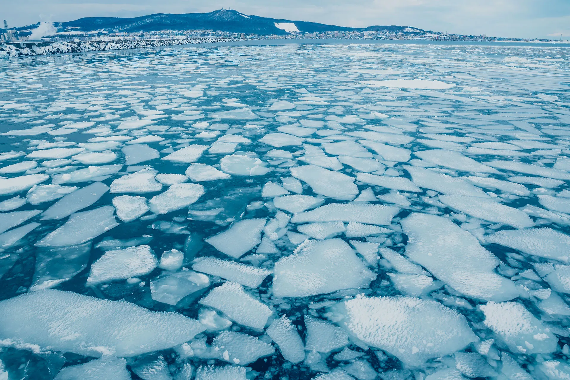 ダミープラン④（プラン在庫）