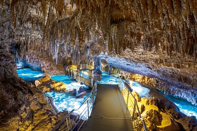 【那覇午前発】南部1日観光バスツアー おきなわワールド＆ガンガラーの谷　満喫しよう　LeaLea BUS ツアー【2026/4/1～2026/9/30】