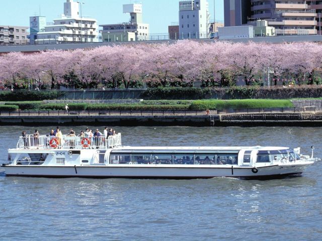 隅田川千本桜クルーズ＆築地人気店「すしざんまい」の選べるにぎり寿司ランチ