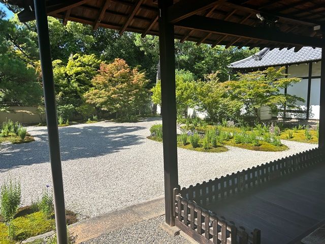 京都で川床ランチ＆ガイドがご案内する紫式部ゆかりの地めぐりバスツアー