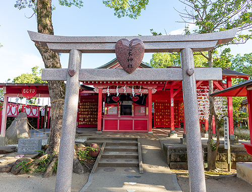 ＜福岡・観光タクシー＞お手軽恋木神社コース