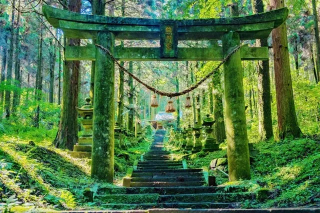 ＜博多発着＞阿蘇火口・上色見熊野座神社・高千穂峡日帰りツアー