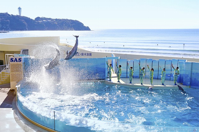 新江ノ島水族館入場券