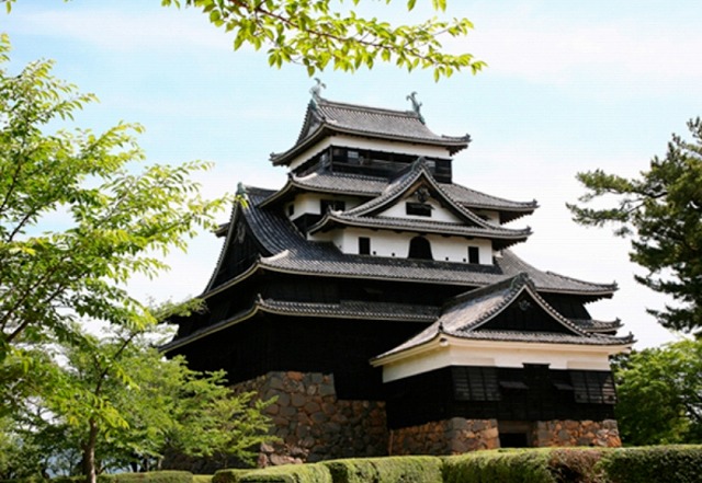 1日コース 松江出雲定期観光バス 松江城周辺 八重垣神社 出雲 旅プラスワン 1日コース 松江出雲定期観光バス 松江城周辺 八重垣神社 出雲 旅プラスワン