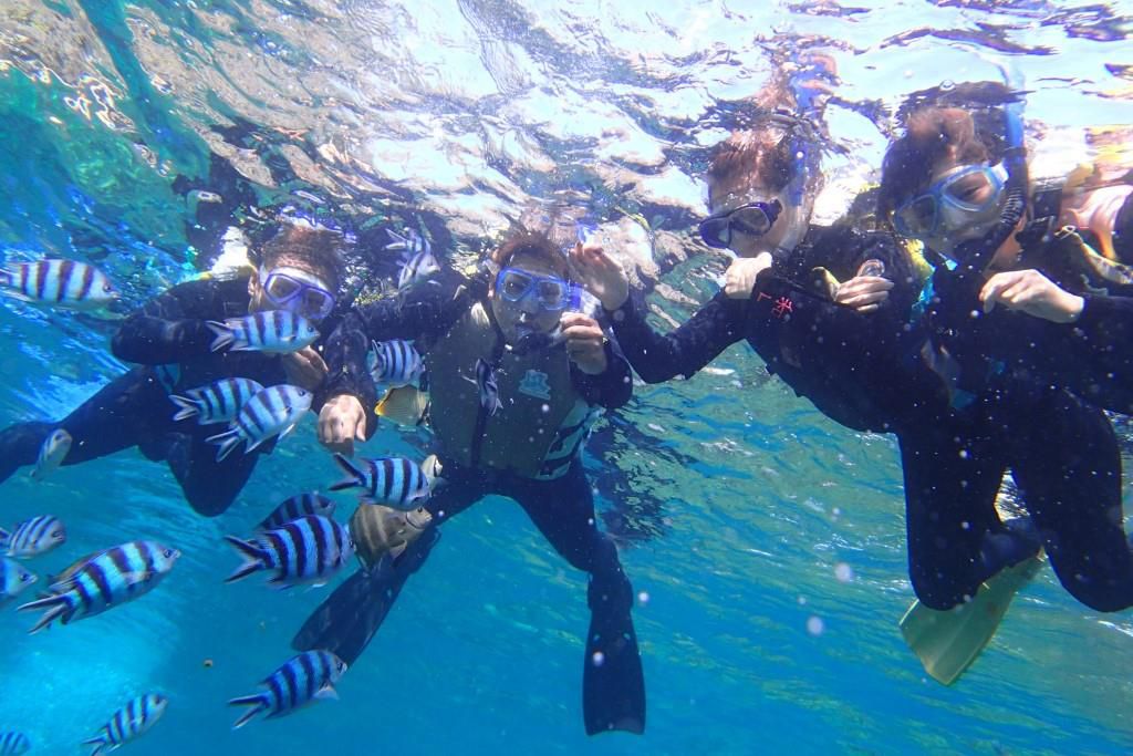 青の洞窟ノーケリングツ＆熱帯魚と珊瑚礁スノーケリング＋体験ダイビングツアー