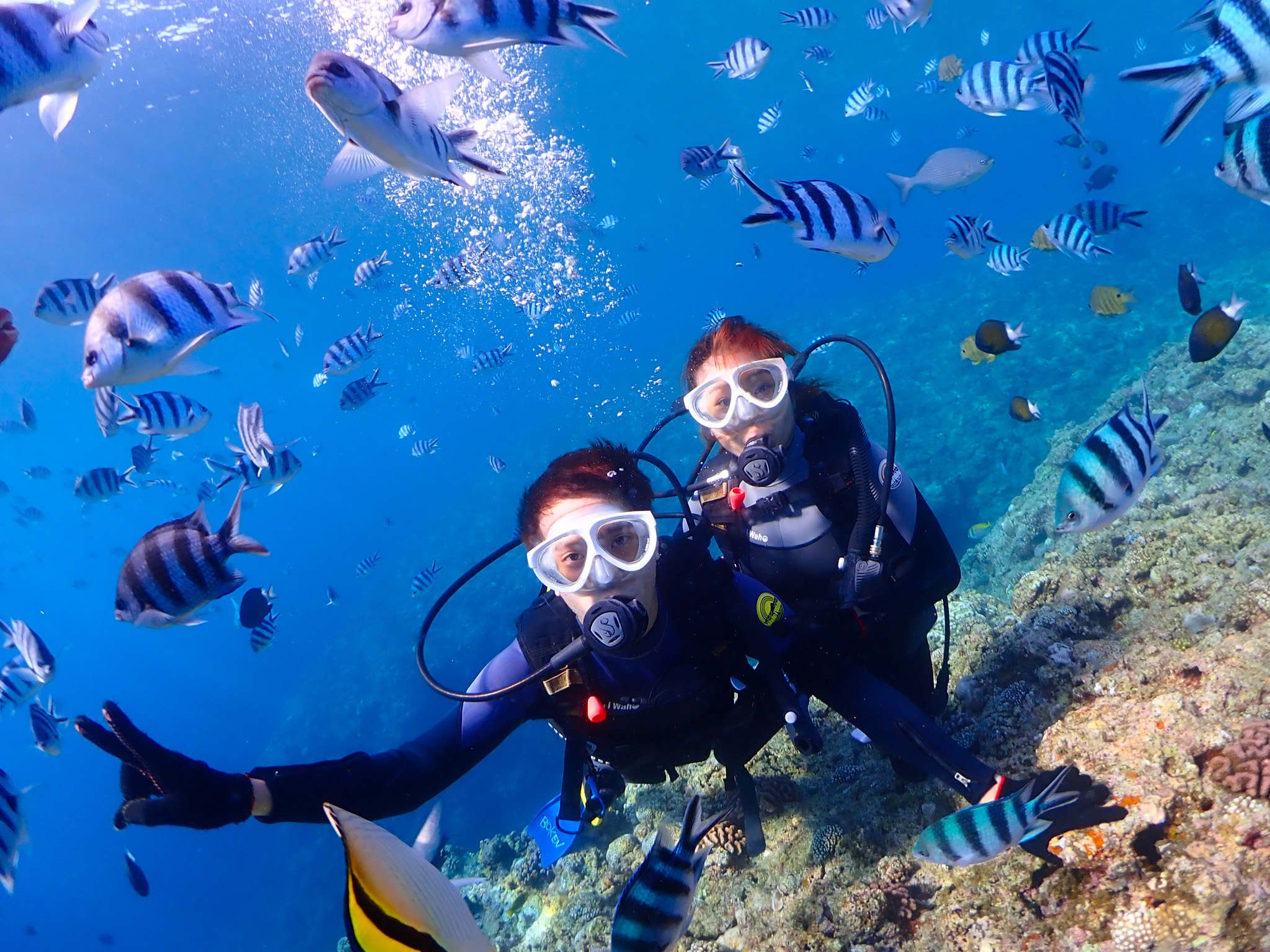 沖縄青の洞窟 体験ダイビング 旅プラスワン 沖縄青の洞窟 体験ダイビング 旅プラスワン