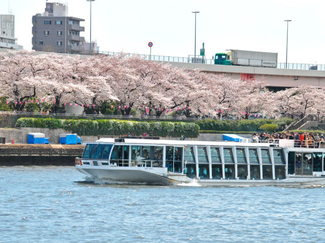 隅田川桜クルーズ