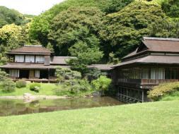 photo1