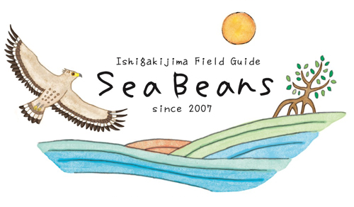 石垣島フィールドガイドSeaBeans