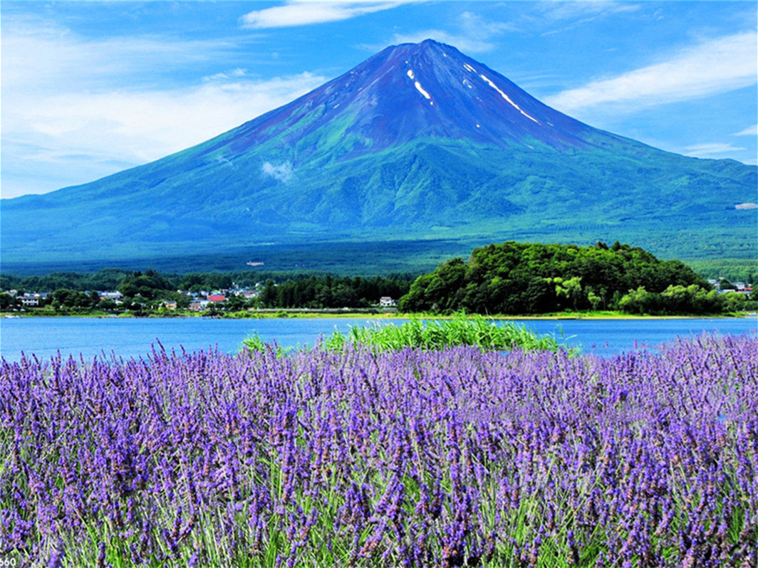 富士山五合目or新倉山浅間公園に河口湖＆山中湖をめぐる！たっぷり富士山コース