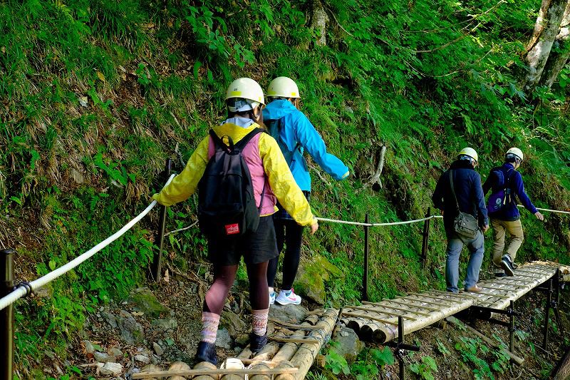 登山道