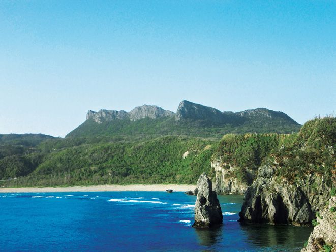 一度は訪れたい 沖縄北部のパワースポット 大石林山 旅プラスワン
