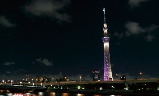 はとバスで行く 東京スカイツリー入場券付バスツアー特集 旅プラスワン はとバスで行く 東京スカイツリー入場券付バスツアー特集 旅プラスワン