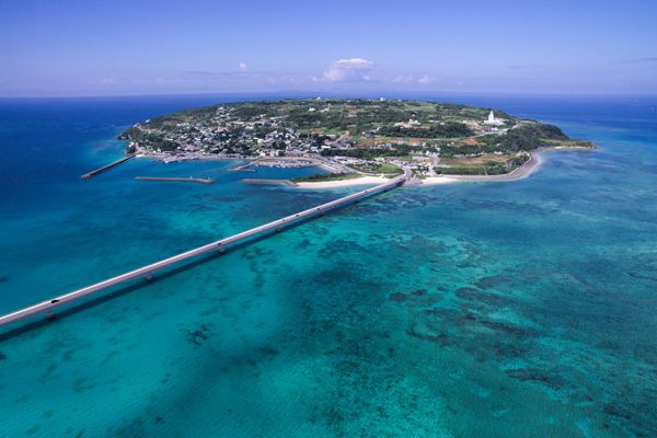 沖縄 古宇利島へ行く日帰りバスツアー特集 旅プラスワン 沖縄 古宇利島へ行く日帰りバスツアー特集 旅プラスワン