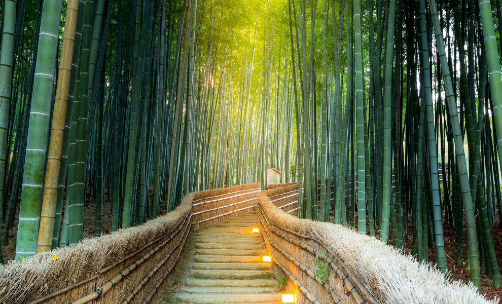 嵐山