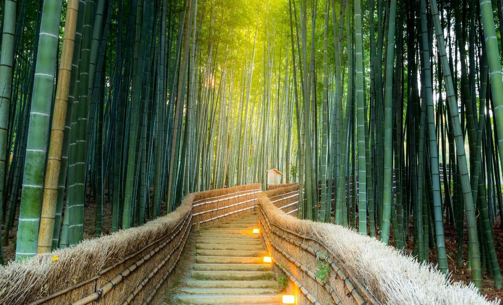 嵯峨野・嵐山・高雄