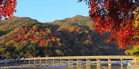 Arashiyama bus tour