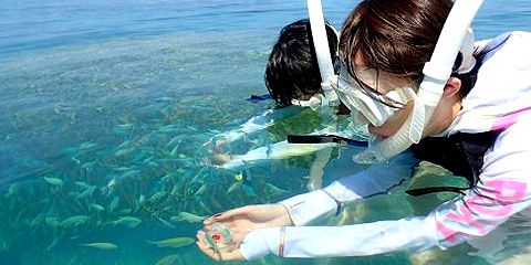 Snorkeling