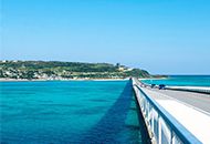 Okinawa bus tour