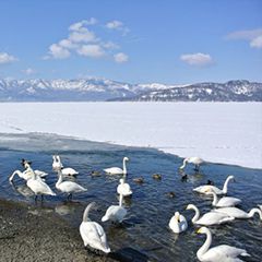 在冬天的阿寒湖上行走・搭乘周游巴士游览钏路、阿寒、摩周的景点　钏路・阿寒湖温泉3天2夜