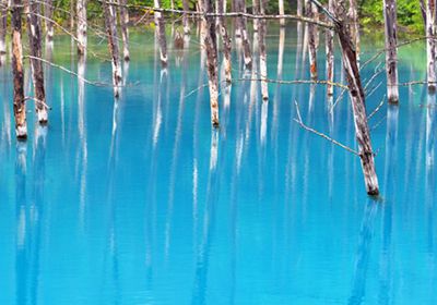 Blue Pond in Biei