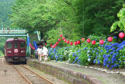 栃木