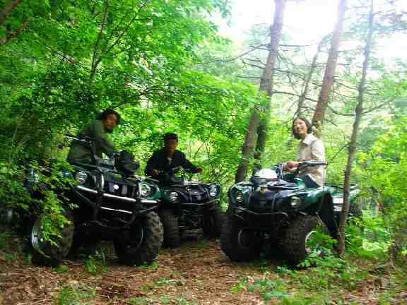 Buggy experience at Fuji Five Lakes