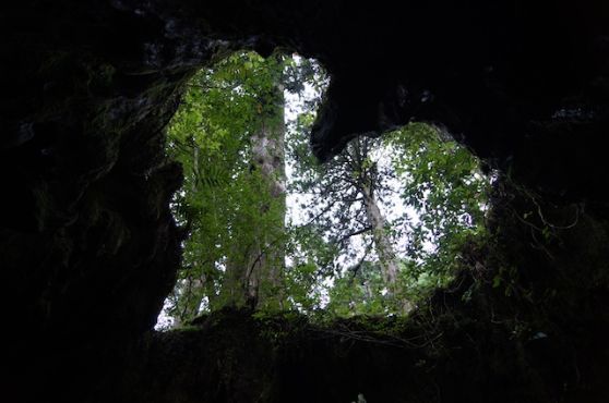 鹿児島