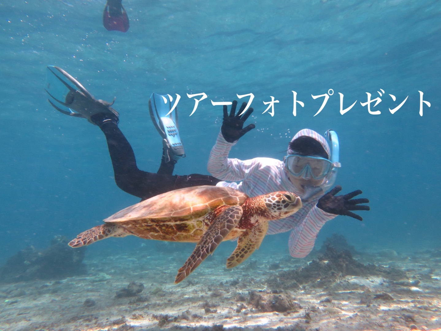 絶景 感動 宮古島シュノーケリングツア 旅プラスワン 絶景 感動 宮古島シュノーケリングツア 旅プラスワン