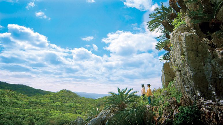 一度は訪れたい 沖縄北部のパワースポット 大石林山 旅プラスワン