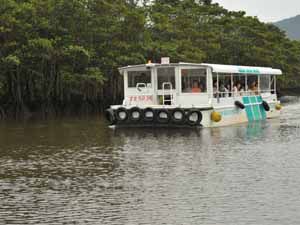 Iriomote island