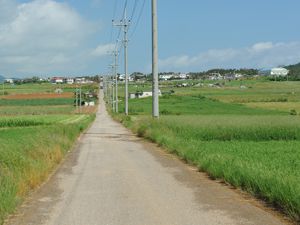 Kohama Island