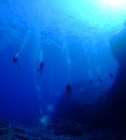 Diving for licenced divers