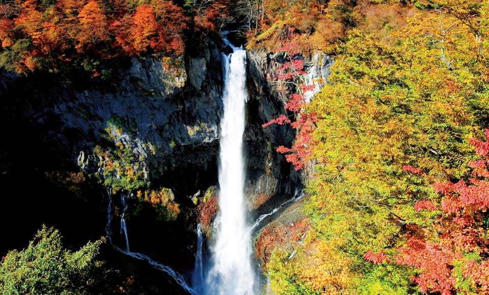 栃木県