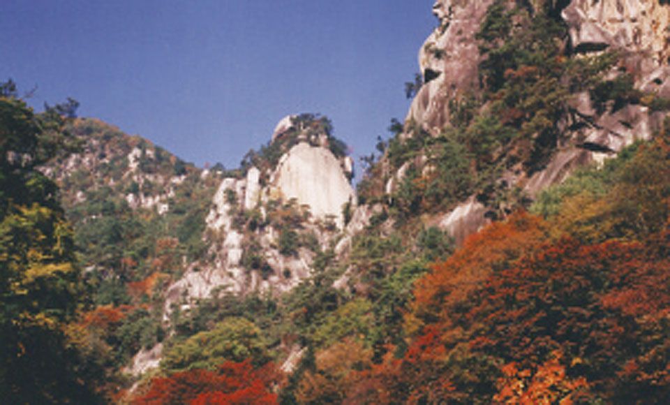 山梨県