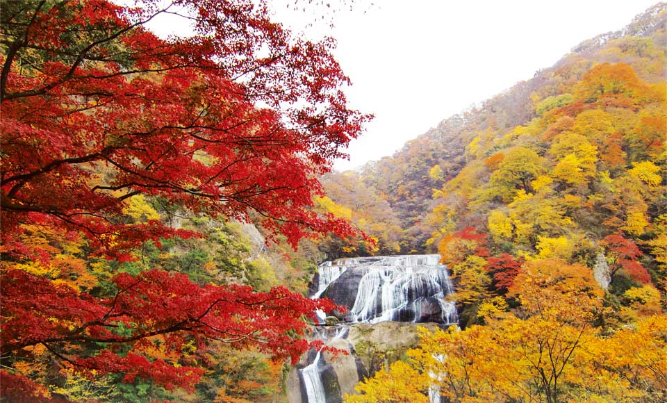 茨城県