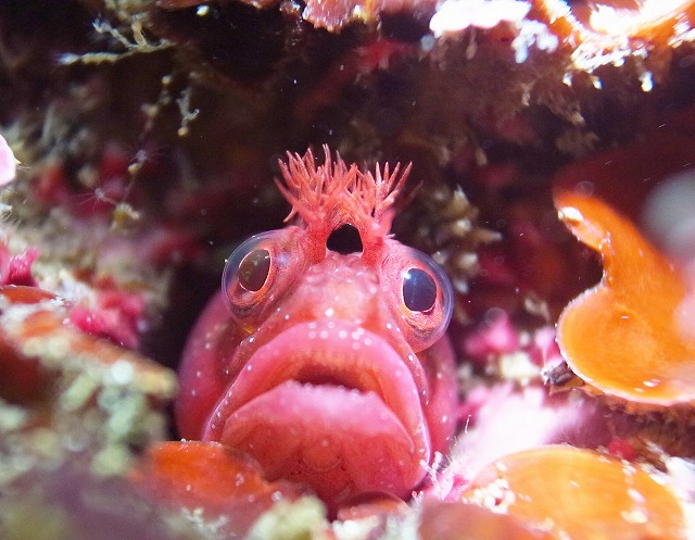 人気ポイントで魚影が濃い
